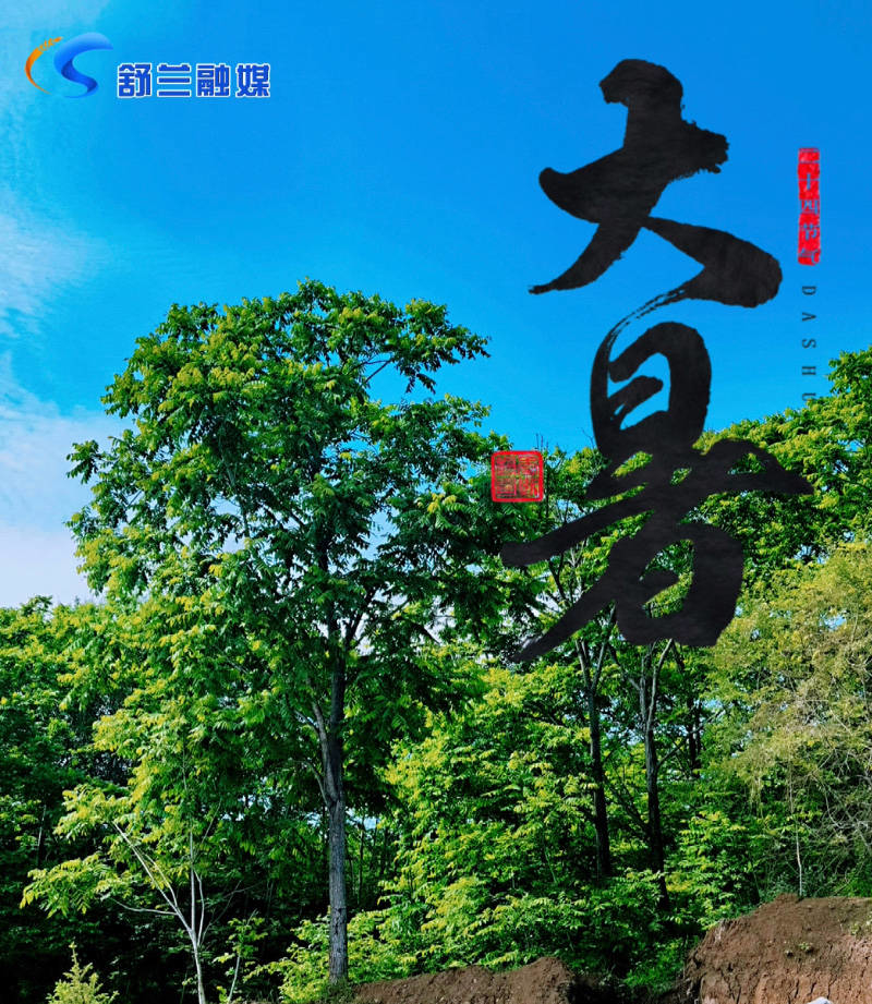 今日大暑