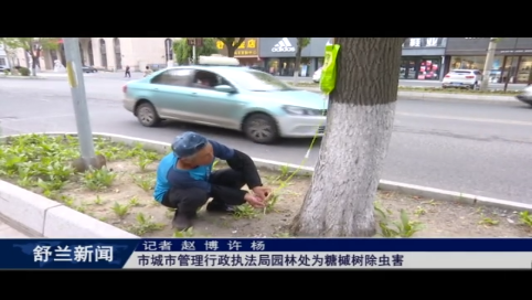 舒兰市城市管理行政执法局园林处为糖槭树除虫害