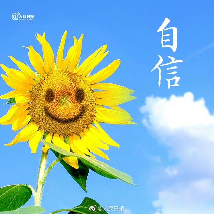 【请向着阳光，用力生长】