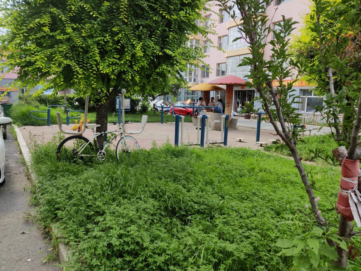 舒兰市北城街道：党建引领强服务,红心物业暖人心