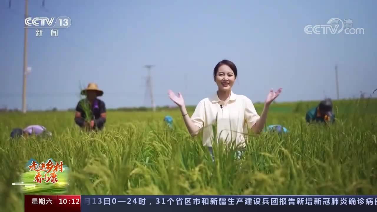 【媒体看舒兰】果实之城舒兰亮相央视