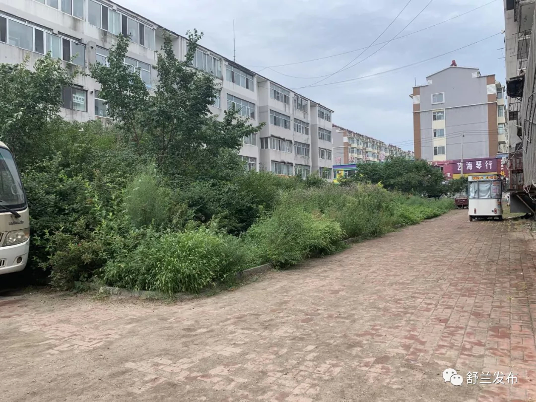 【我为群众办实事】舒兰市滨河街道：党建联建聚合力 弃管小区焕新生