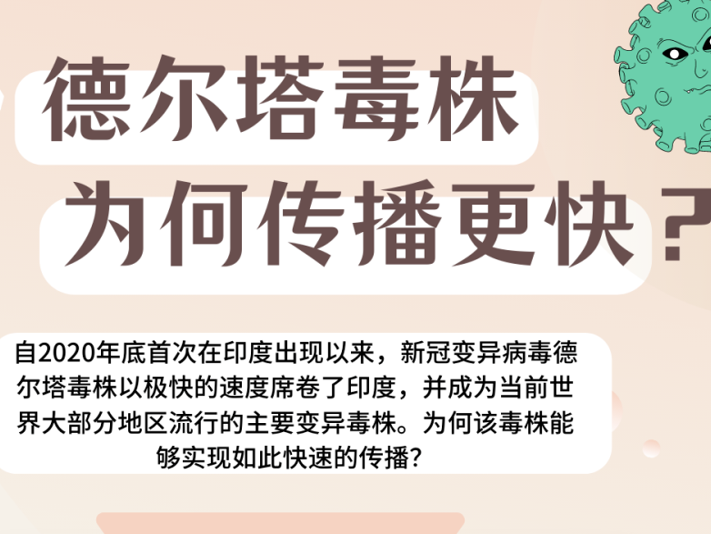 德尔塔毒株为何传播更快