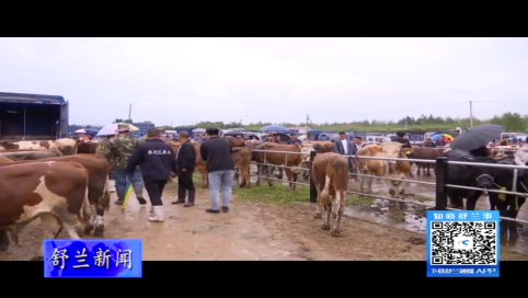 舒兰市黄牛交易市场开市火爆