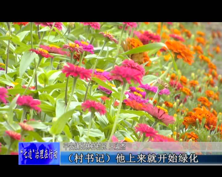 舒兰市平安镇长林村：七边治理见实效 乡村面貌换新颜