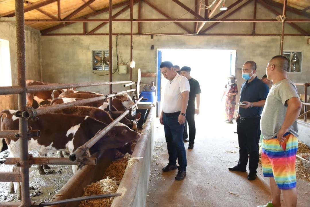 舒兰市城投公司赴吉林市程泽生态农业有限公司考察肉牛养殖项目