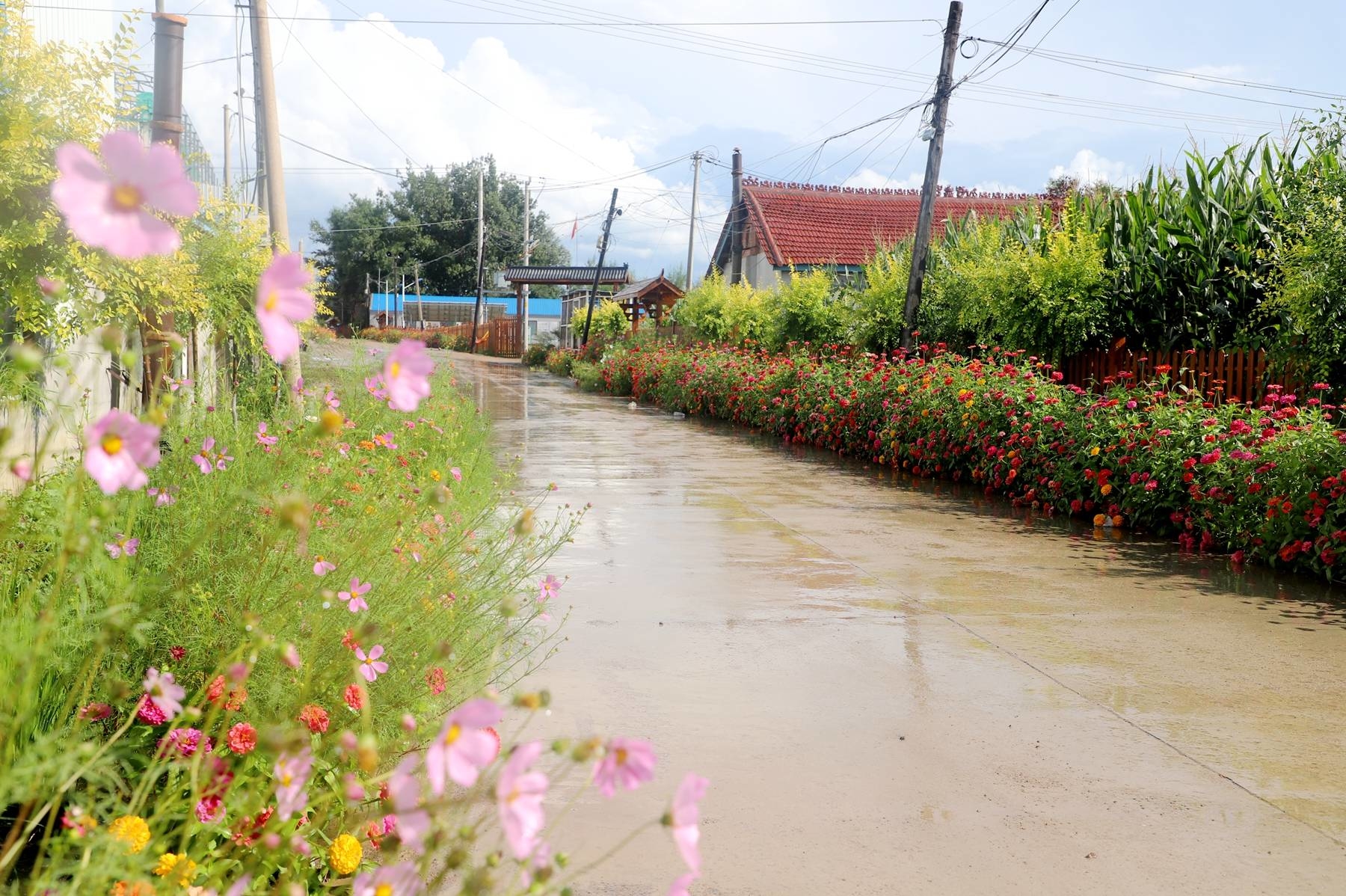 【&ldquo;七边&rdquo;治理在行动】舒兰市环城街道乡村环境&ldquo;变形记&rdquo;