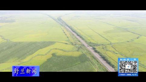 舒兰市粮食作物长势喜人 丰收在望