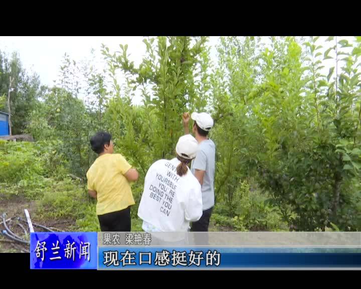 舒兰市平安镇丰收村 果园结出&ldquo;致富果&rdquo;