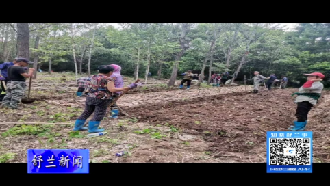 舒兰市环城街道：林下种植中药材 激活乡村振兴新动力