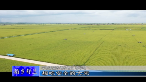 舒兰市学明家庭农场：金穗飘香 丰收在望