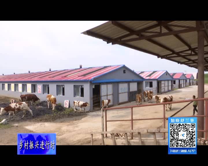 舒兰市溪河镇：做强肉牛产业 助力乡村大发展