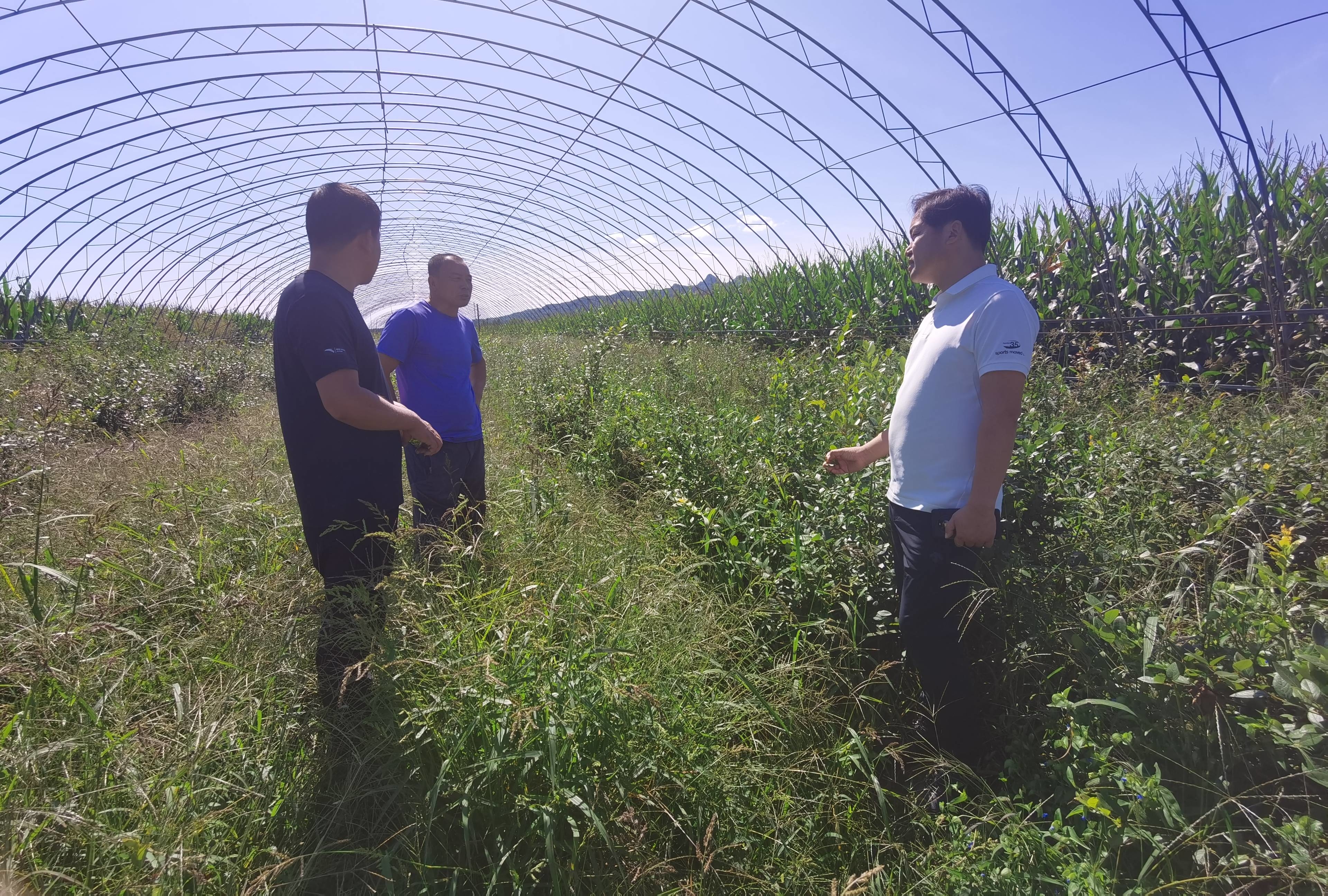 舒兰市林业局：强化驻村帮扶 指导产业项目