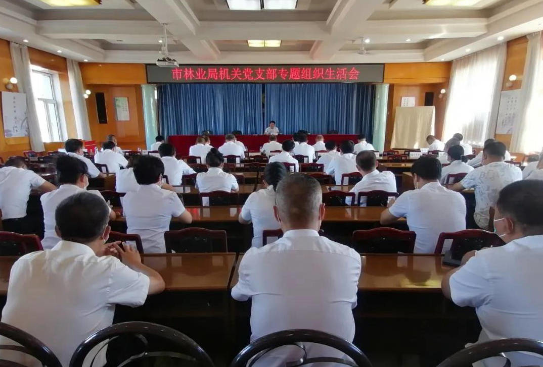 舒兰市林业局机关党支部召开专题组织生活会