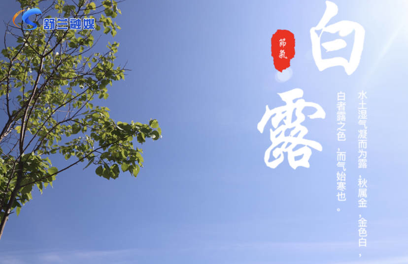 白露
