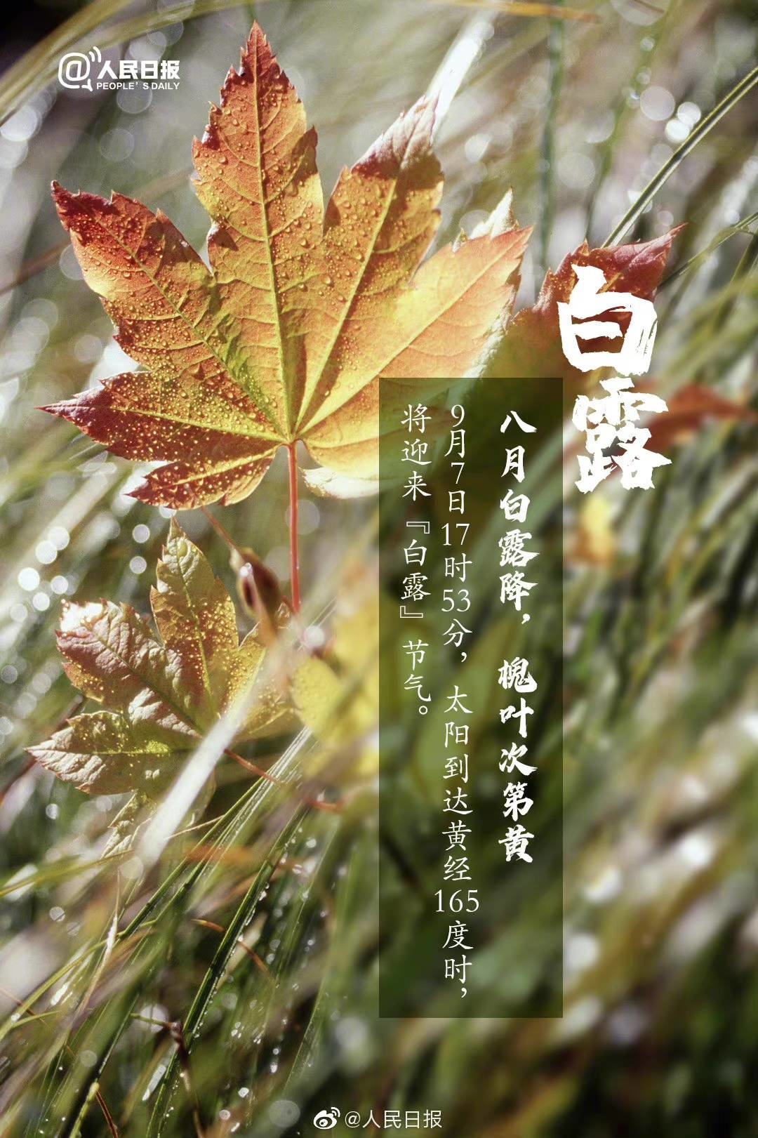今日，#白露#