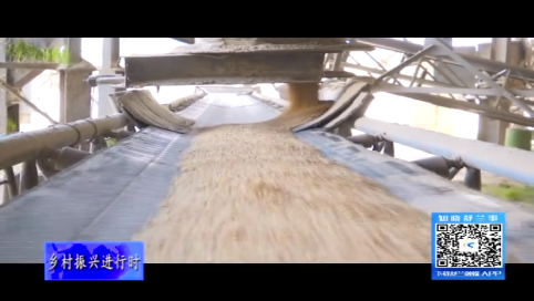 舒兰市莲花乡北莲米业：发挥自身优势 助力秋粮收购