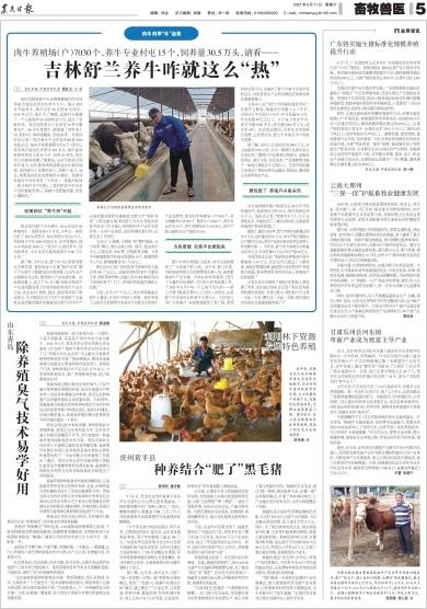 媒体看舒兰丨吉林舒兰养牛咋就这么“热”