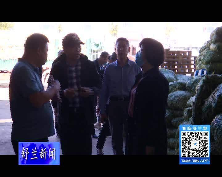 舒兰市政协视察全市招商引资暨重点项目