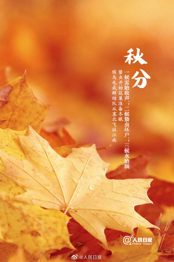 今日#秋分#，一起迎接收获的金秋