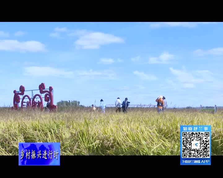 舒兰市成功举办农民丰收节