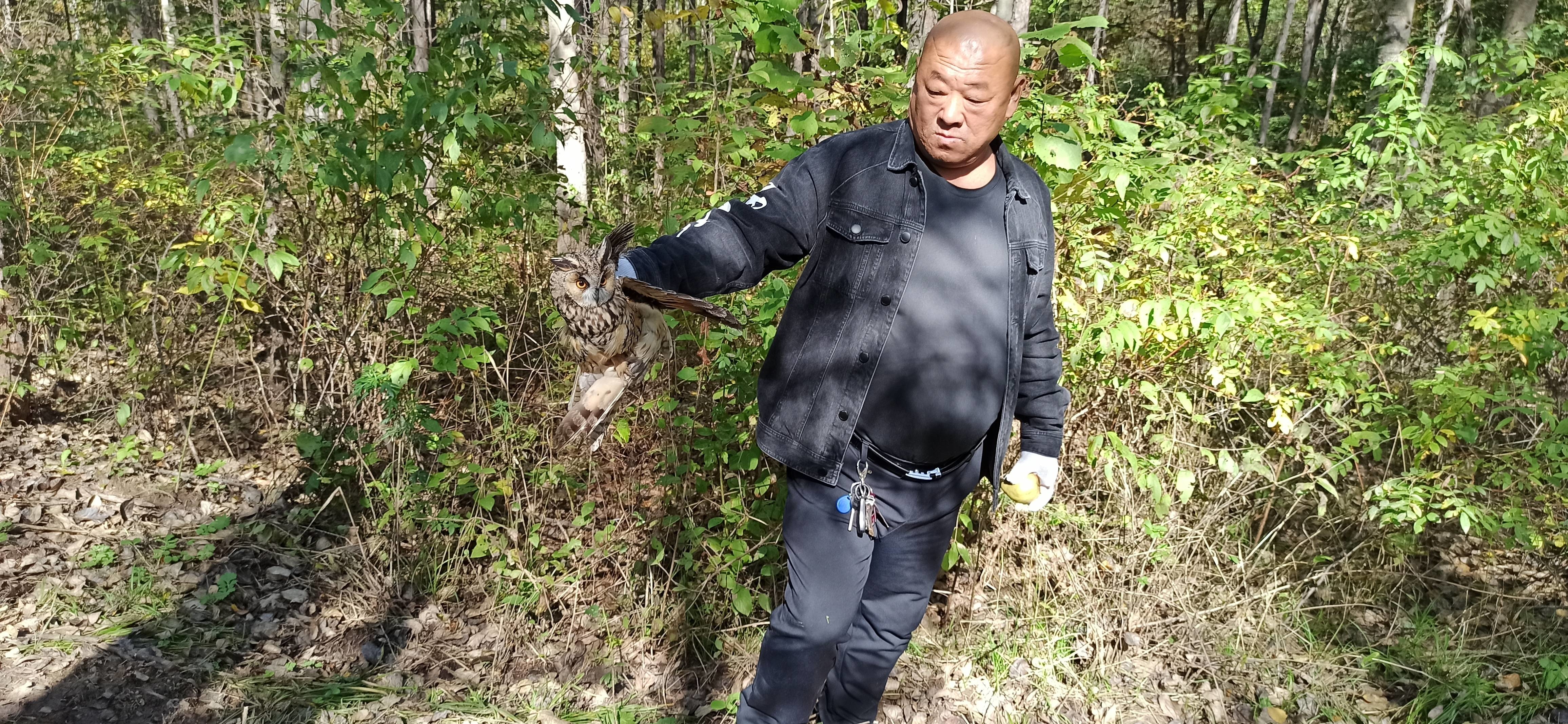 舒兰市水曲柳林场开展野生动物救助工作