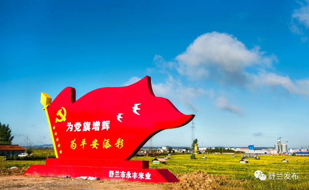 喜迎党代会 | 党旗引航发展 担当开创新局&mdash;&mdash;舒兰市五年来党的建设工作回眸