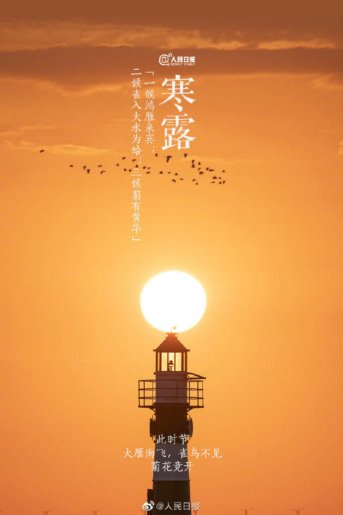 今日寒露