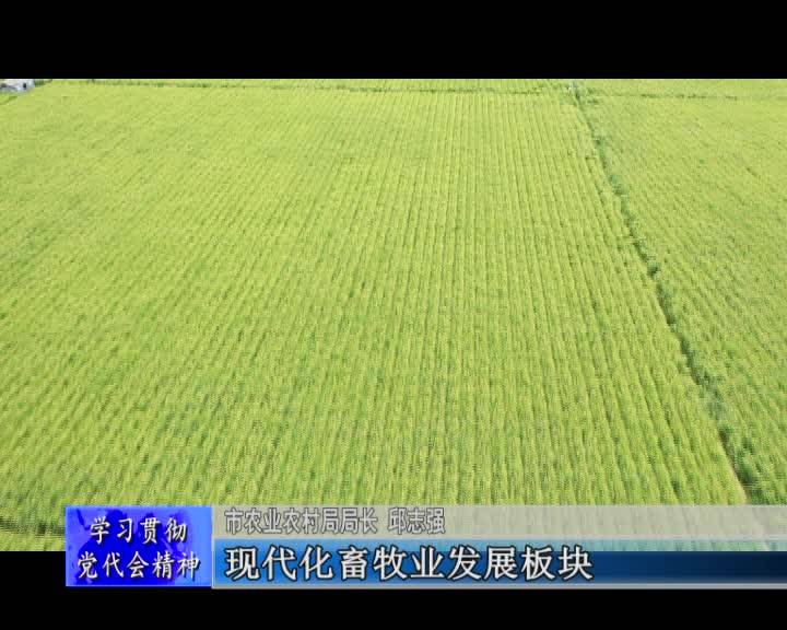 新征程 新突破 奋力推动农业农村现代化--访舒兰市农业农村局局长 邱志强