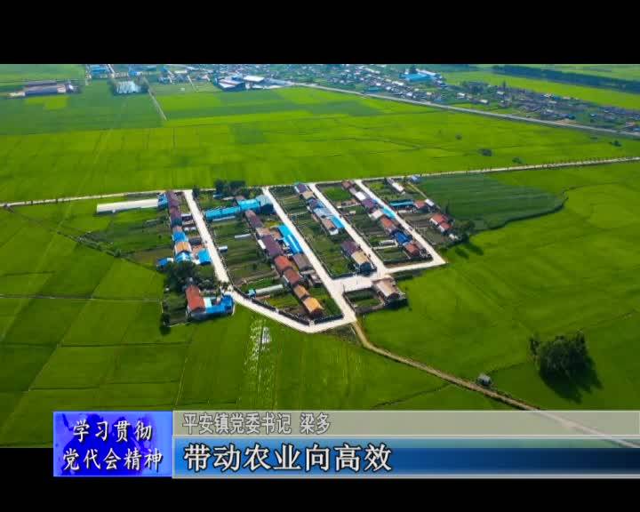 谋新篇 布新局 开启乡村振兴新征程&mdash;&mdash;访平安镇党委书记 梁多