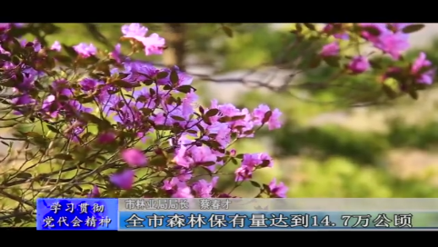 全面推行林长制 开启现代化林业建设新征程&mdash;&mdash;访舒兰市林业局局长  蔡春才