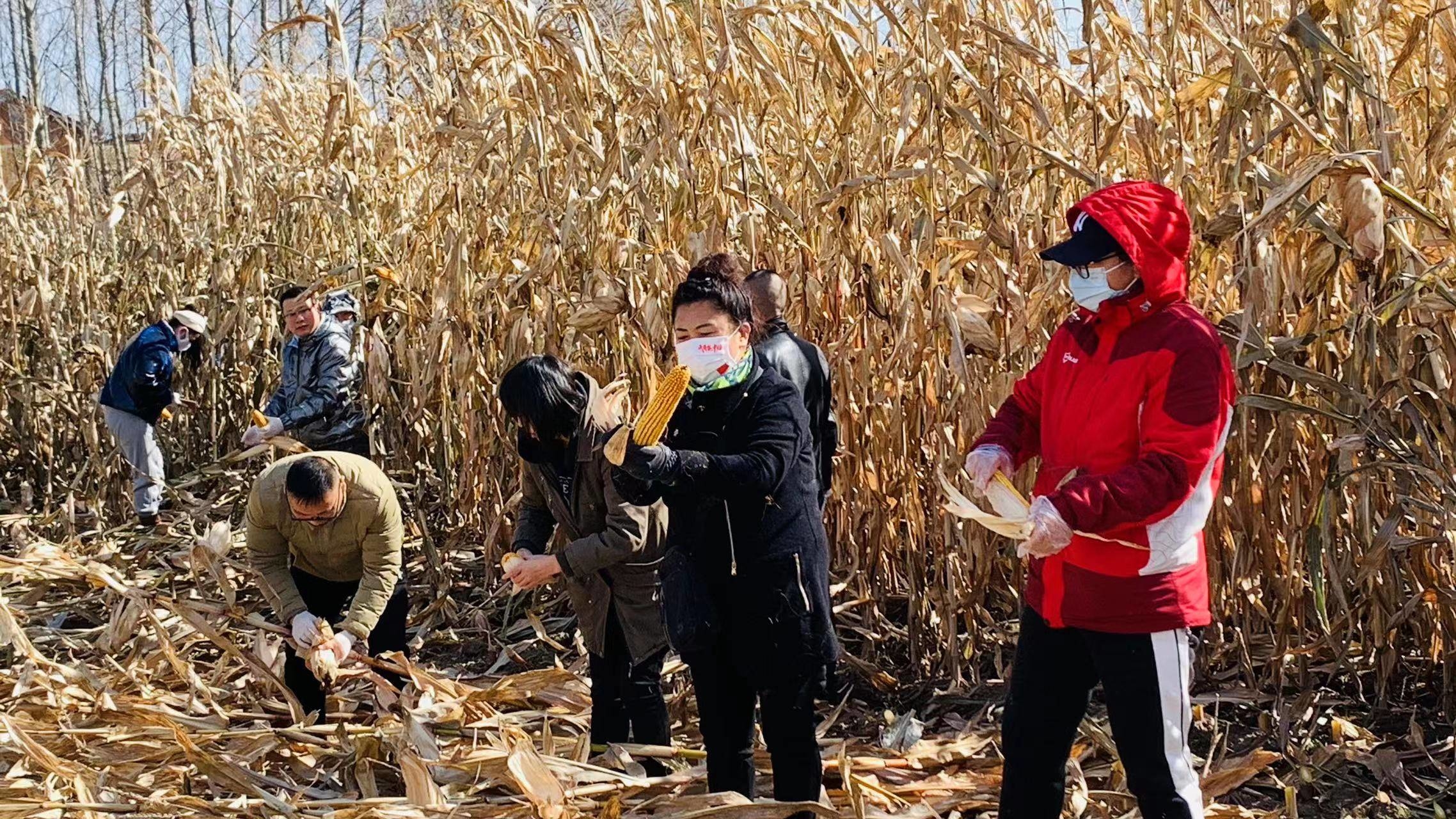 舒兰市融媒体中心开展&ldquo;助农秋收&nbsp;我为群众办实事&rdquo;主题党日活动