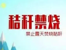秸秆禁烧丨守护天蓝水清 舒兰市民这样做！