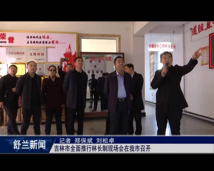 吉林市全面推行林长制现场会在舒兰市召开