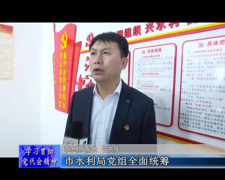 推动新阶段水利高质量发展 为全面建设现代化舒兰提供有力水利保障&mdash;&mdash;访舒兰市水利局局长 吕大伟