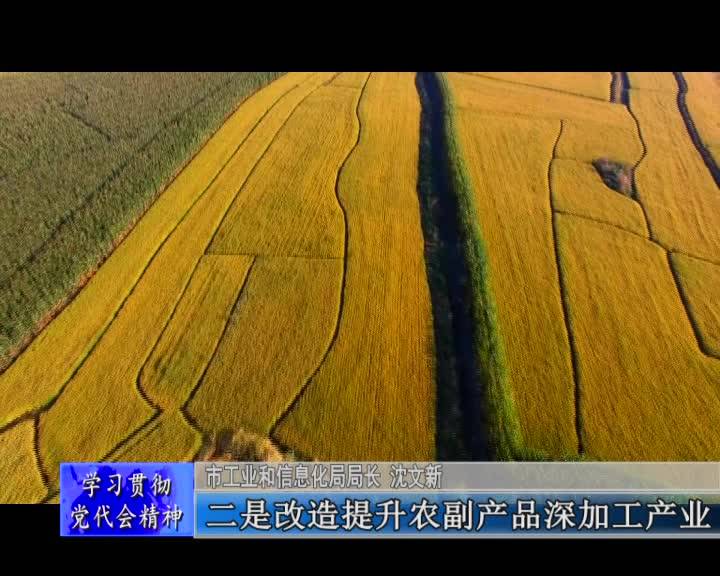 聚焦重点产业&nbsp;加快转型升级推动工业经济高质量发展&mdash;&mdash;访舒兰市工业和信息化局局长 沈文新