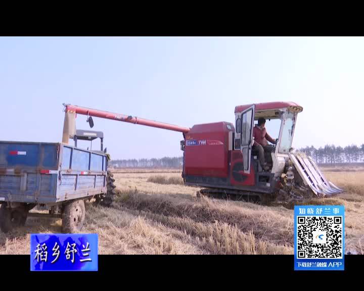 谷源粮食：订单农业让农户笑开颜