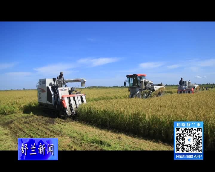 舒兰市水稻喜获丰收