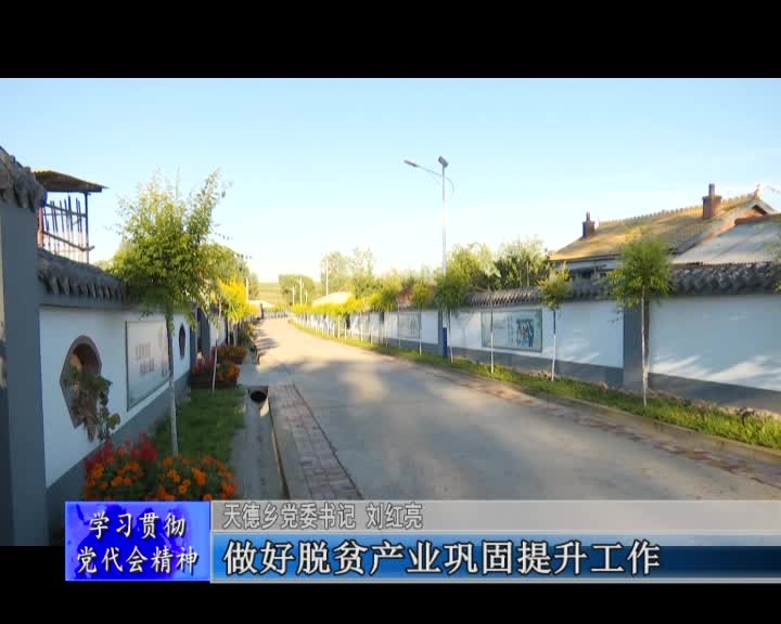 站在新起点 实现新跨越 奋力开创天德高质量发展新局面&mdash;&mdash;访舒兰市天德乡党委书记 刘红亮