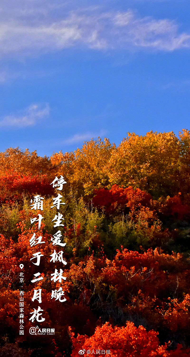 绝美山河秋色