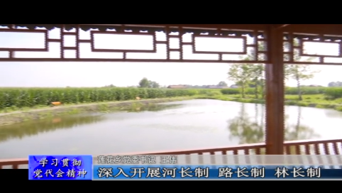 抢抓新机遇  起航新征程 奋力谱写莲花高质量发展新篇章&mdash;&mdash;访舒兰市莲花乡党委书记 王伟