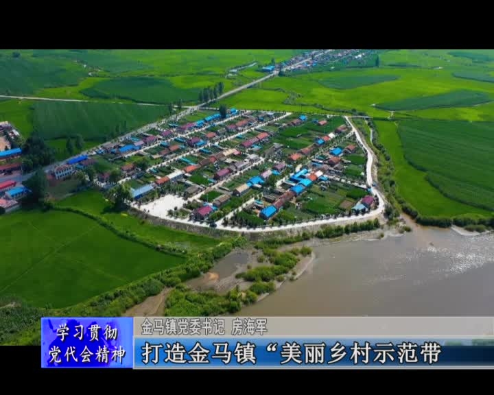 牢记初心 勇担使命 建设富强秀美糯稻之乡&mdash;&mdash;访舒兰市金马镇党委书记 房海军