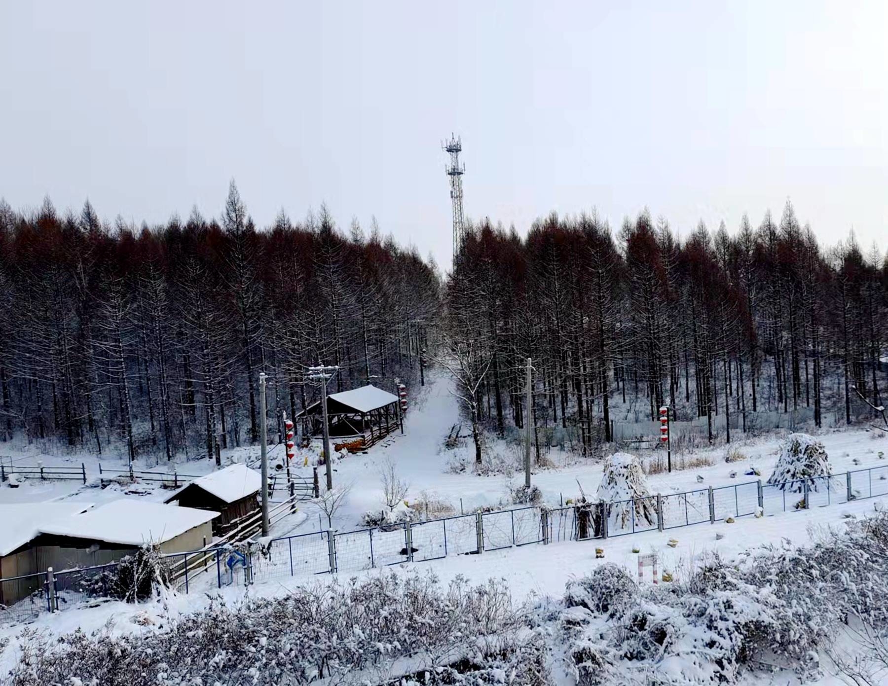 舒兰雪景邀你踏雪而来