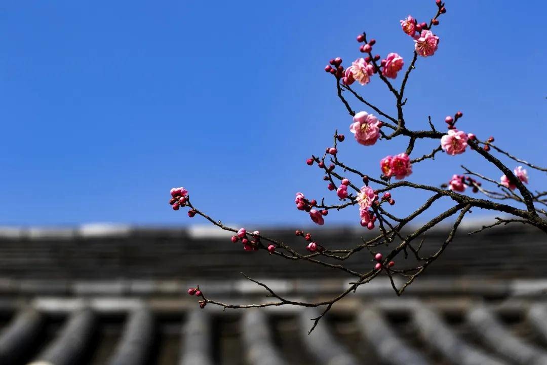 抱怨是本能，解决问题却是本事