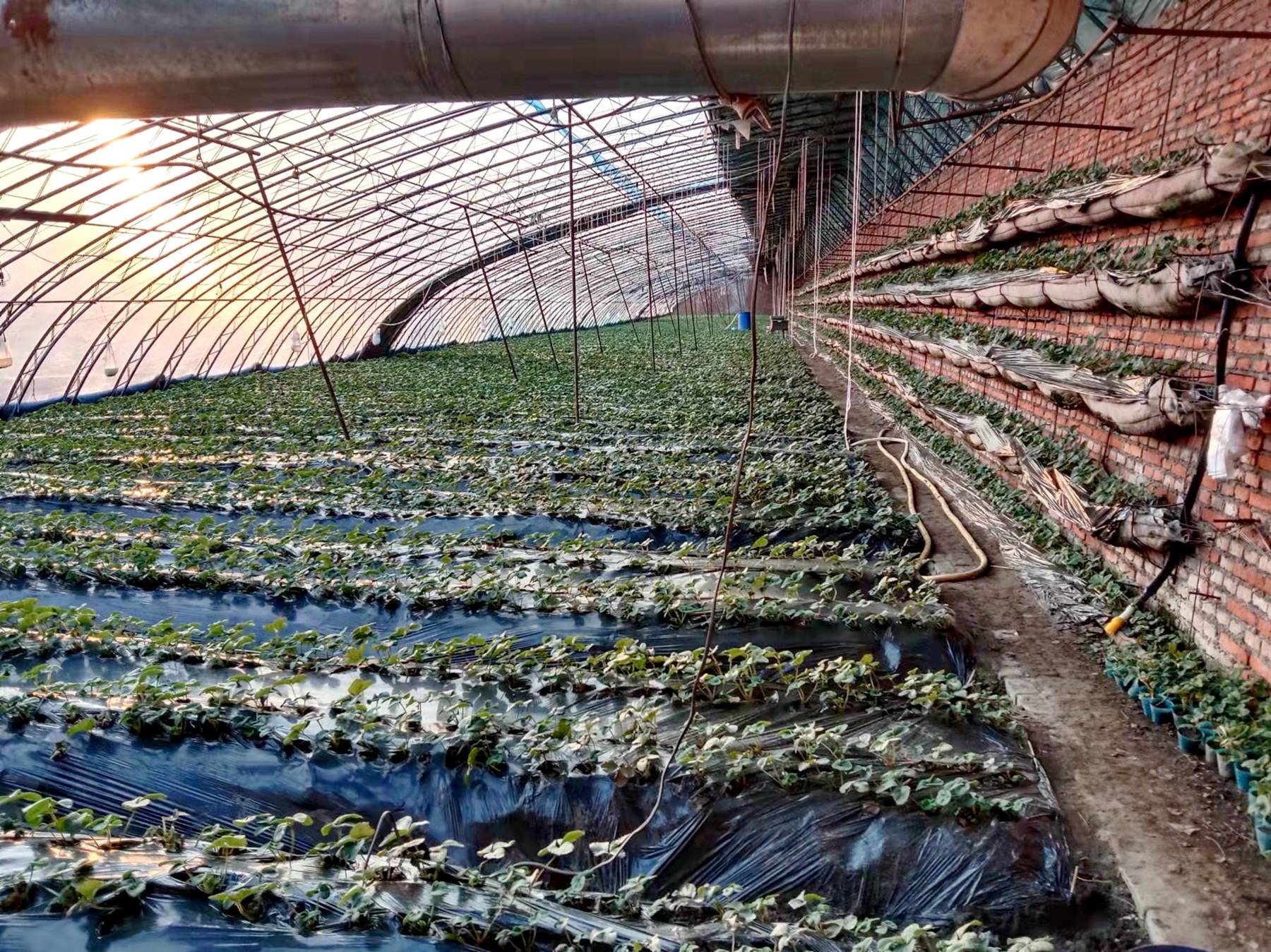 舒兰市上营镇：&ldquo;冬闲&rdquo;变&ldquo;冬忙&rdquo; 农闲人不闲