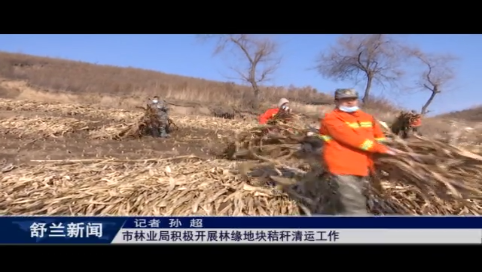 舒兰市林业局积极开展林缘地块秸秆清运工作