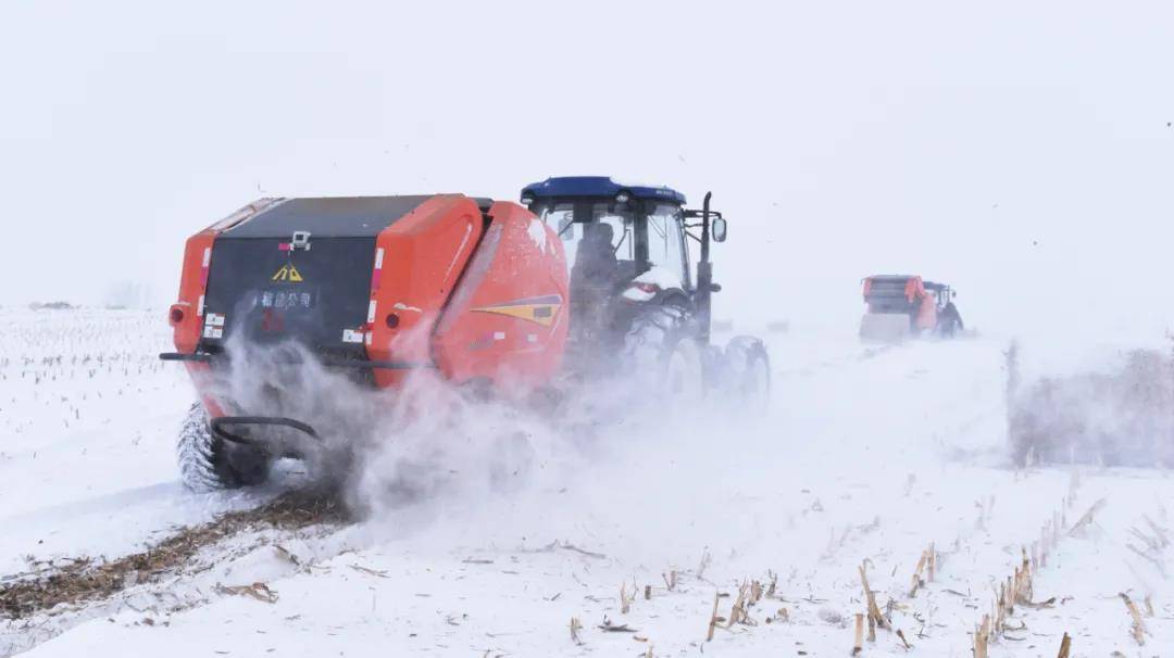 舒兰：秸能公司持续推进秸秆捡拾打捆工作