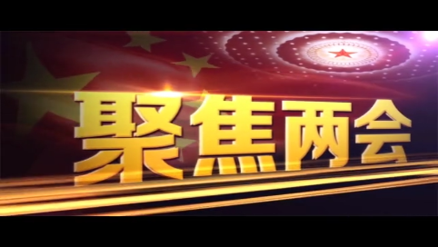 舒兰市贯彻落实&ldquo;两会&rdquo;精神专访