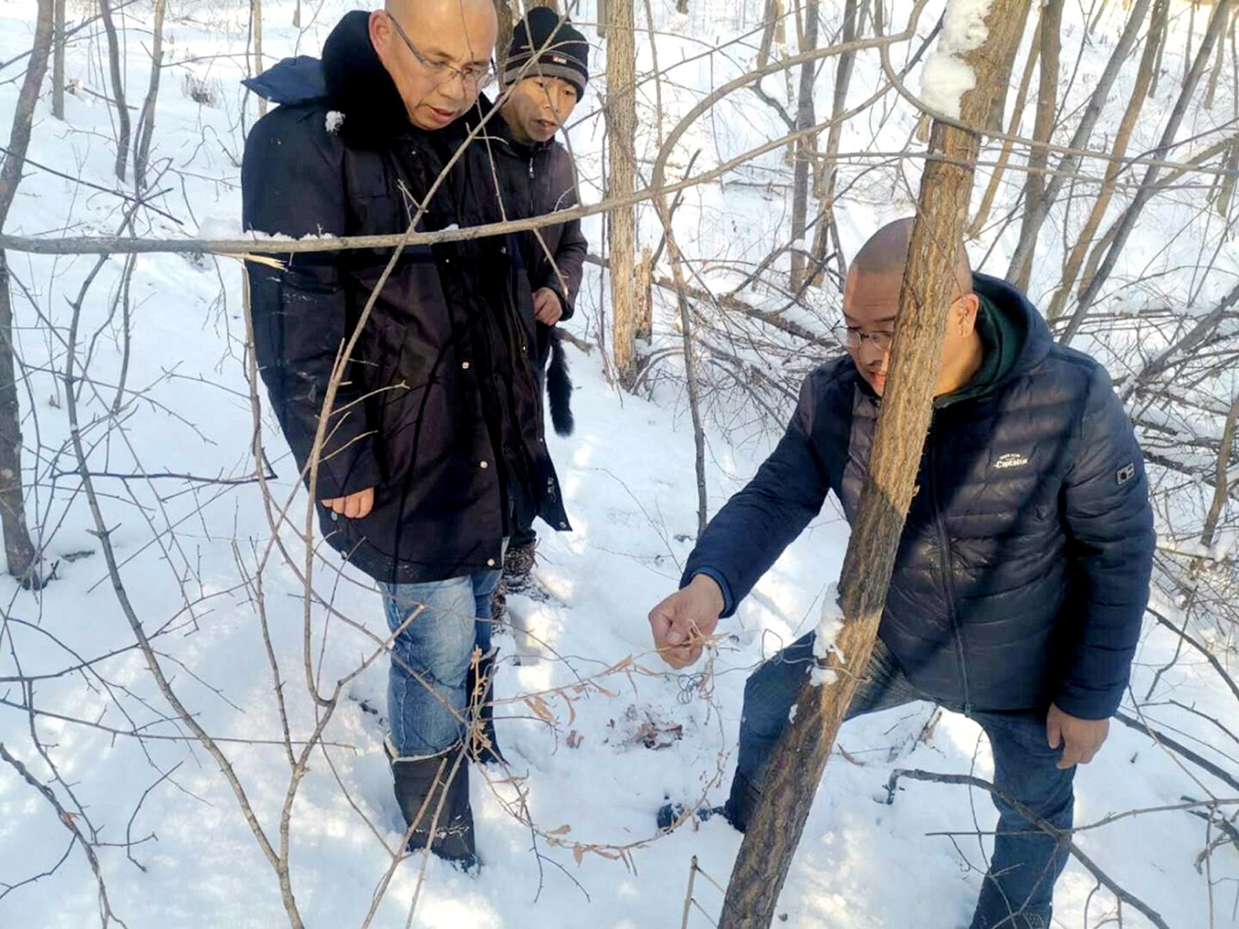 舒兰市林业局小城林场开展反盗猎、清山清套专项行动