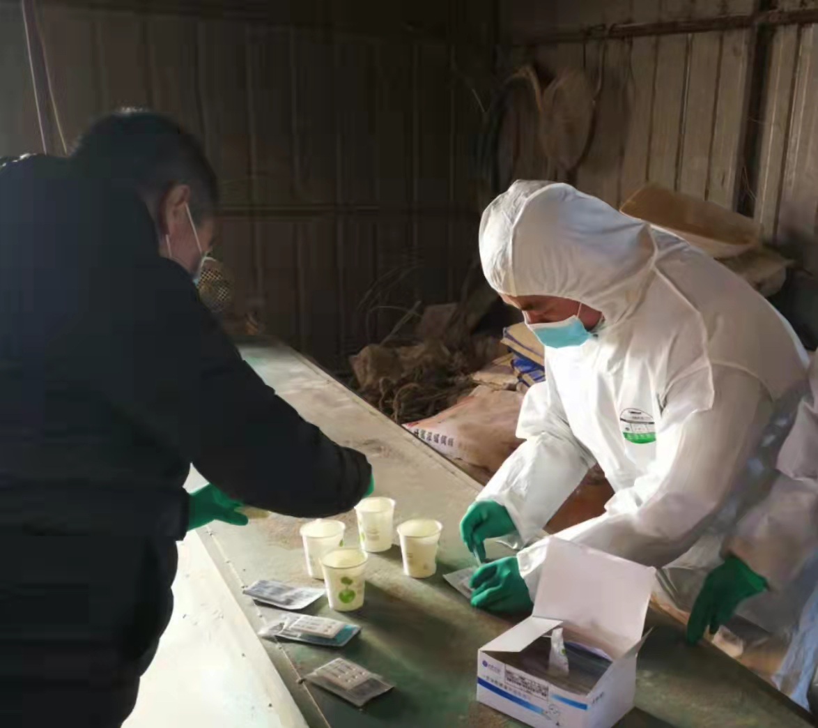 舒兰市朝阳镇开展&ldquo;瘦肉精&rdquo;检测工作